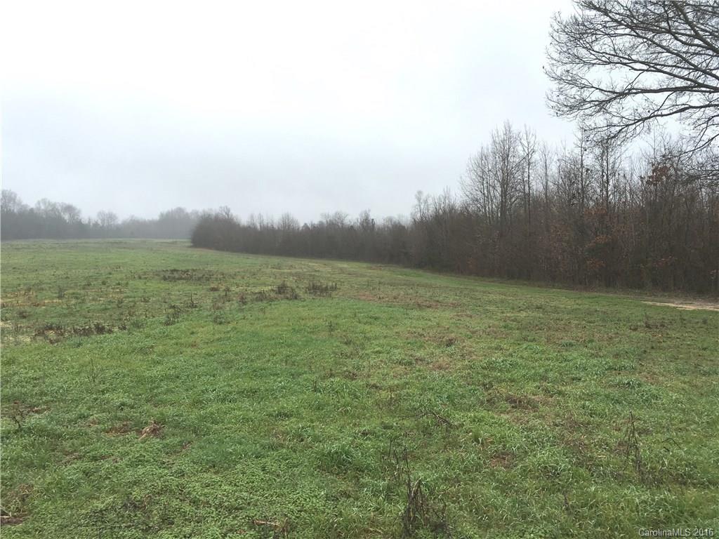108-acres Merrells Lake Road Mocksville, NC 27028 - Photo 19 of 24 Gallery Image 19