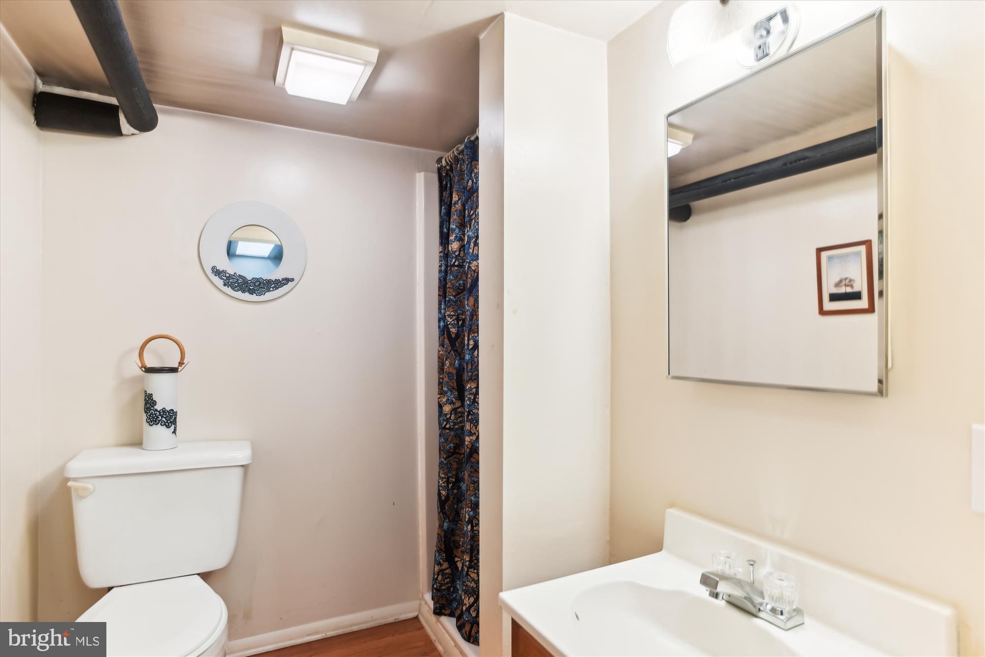 703 Stoneleigh Road Baltimore, MD 21212 - Photo 50 of 60 Full Bath in lower