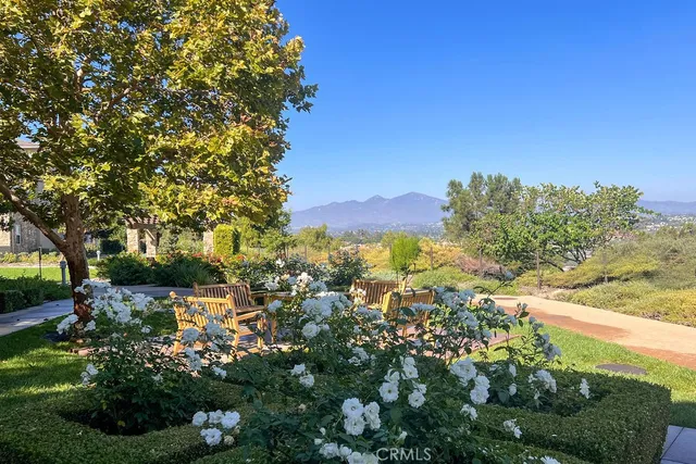 a view of a bunch of flowers and trees