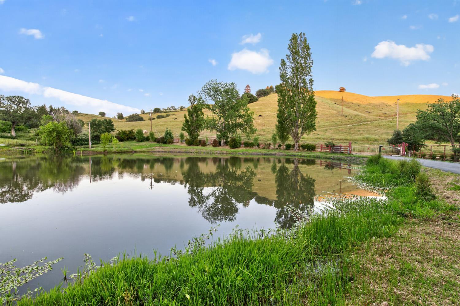 7570 Airola Road Vallecito, CA 95251 - Photo 23 of 90 a view of a lake with a house in the background