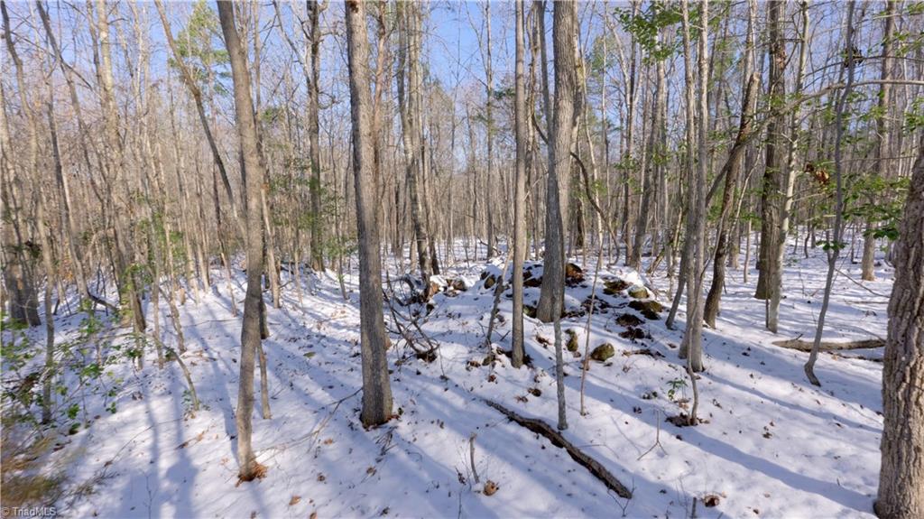 9035 Robert Morgan Road Bullock, NC 27507 - Photo 19 of 35 Gallery Image 19