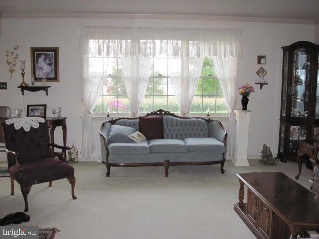250 Reifsnyder Road Lititz, PA 17543 - Photo 4 of 41