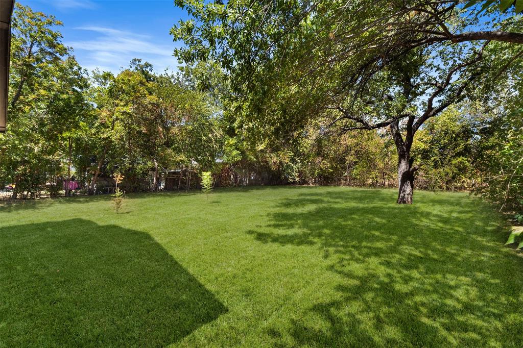 513 East Union Bower Road Irving, TX 75061 - Photo 27 of 34 Expansive grassy yard with mature trees and dense perimeter foliage
