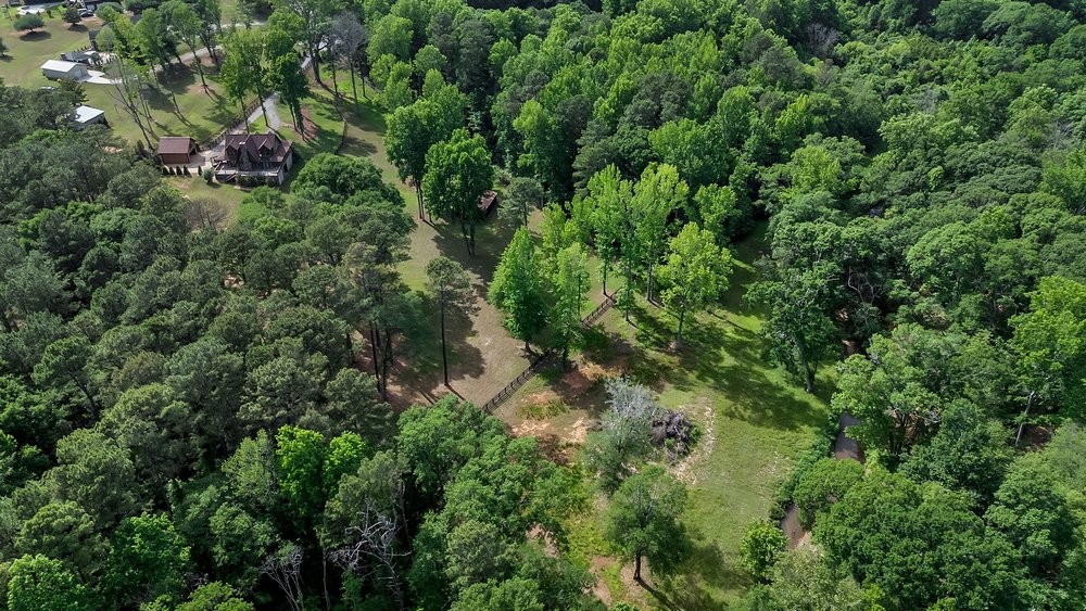 414 Devon Way Anderson, SC 29621 - Photo 50 of 50 A secluded residence nestled within a vast, verdant expanse of mature trees, offering ultimate privacy.