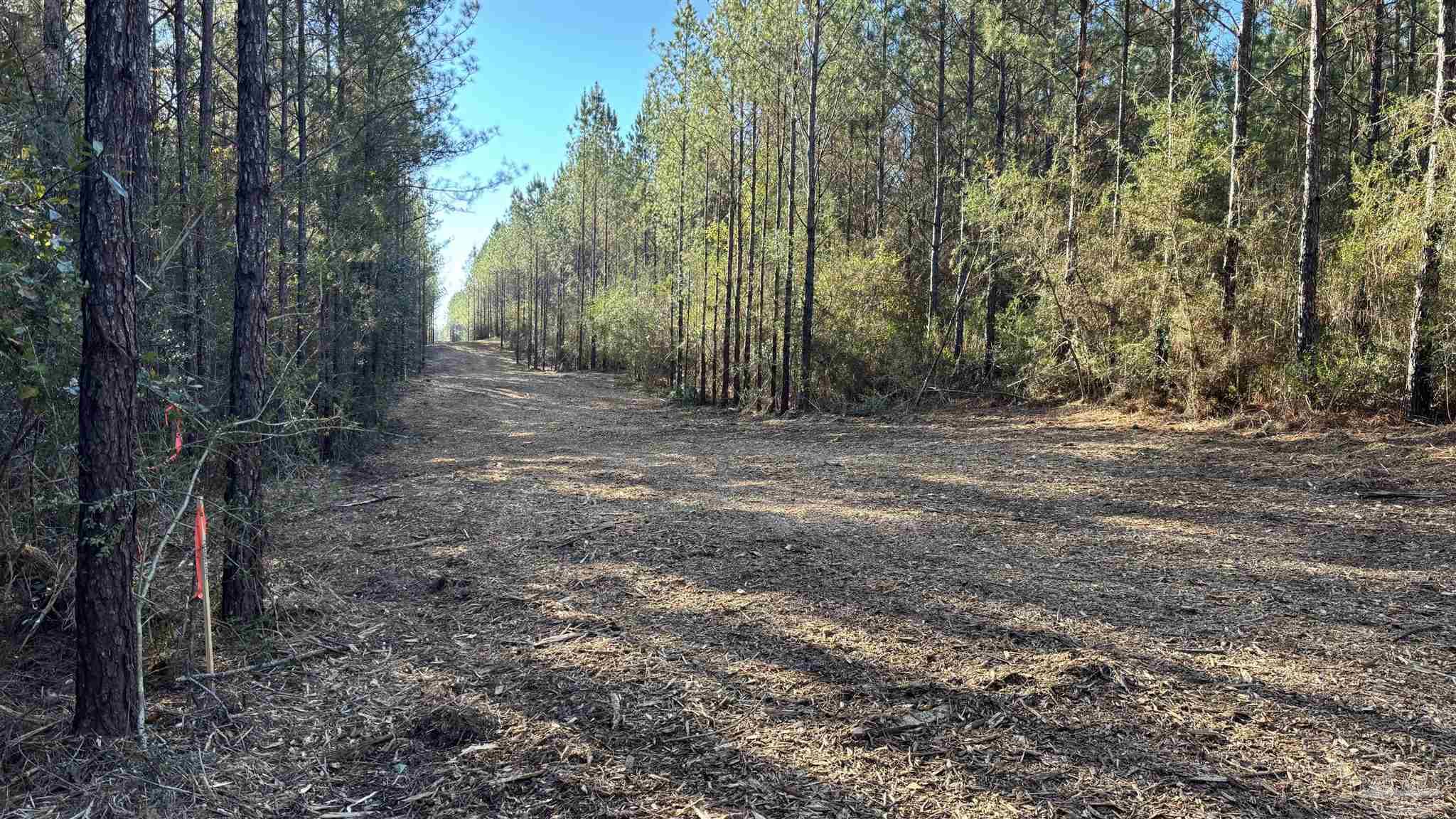 Lot 55 Straw Bridge Road Jay, FL 32565 - Photo 8 of 10