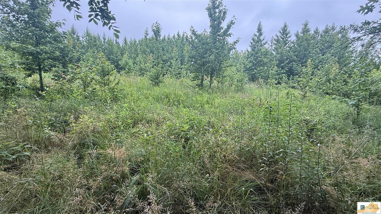 705 Goodluck Beaumont Road Edmonton, KY 42129 - Photo 29 of 33 Gallery Image 29