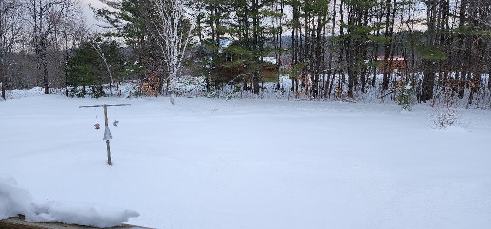232 Dickvale Road Peru, ME 04290 - Photo 27 of 28 27 Backyard