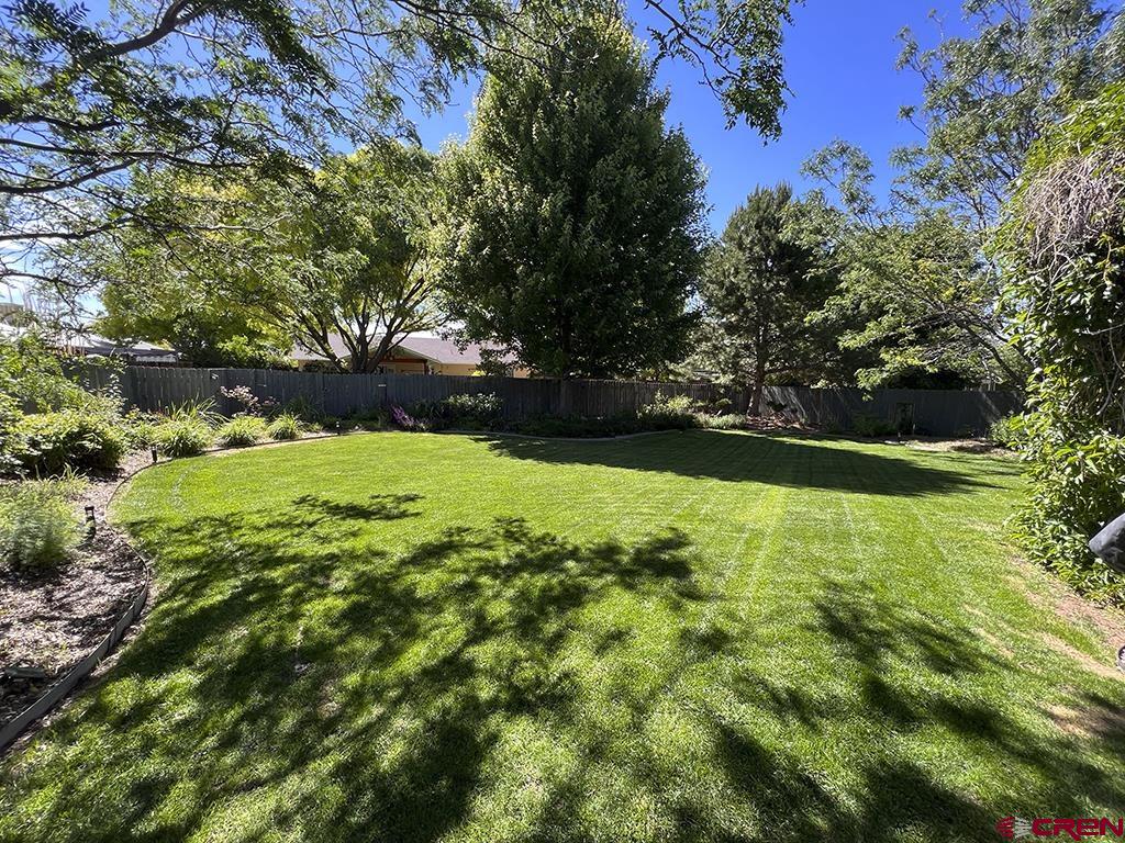 a view of yard with green space