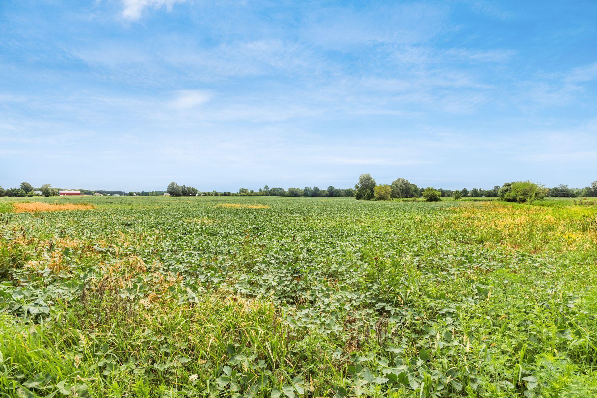 7667 Slocum Road Ostrander, OH 43061 - Photo 53 of 69 Field