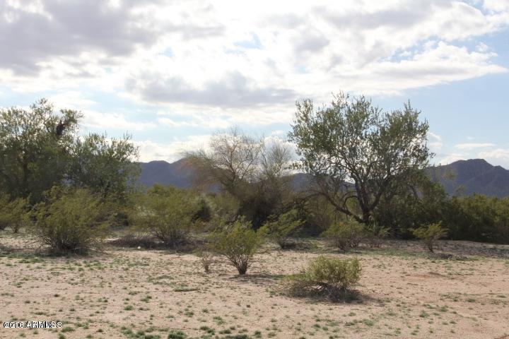 51398 West Ventada Road Maricopa, AZ 85139 - Photo 13 of 38 v9