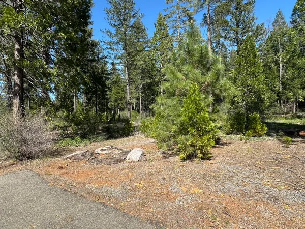 a view of a yard with plants and trees