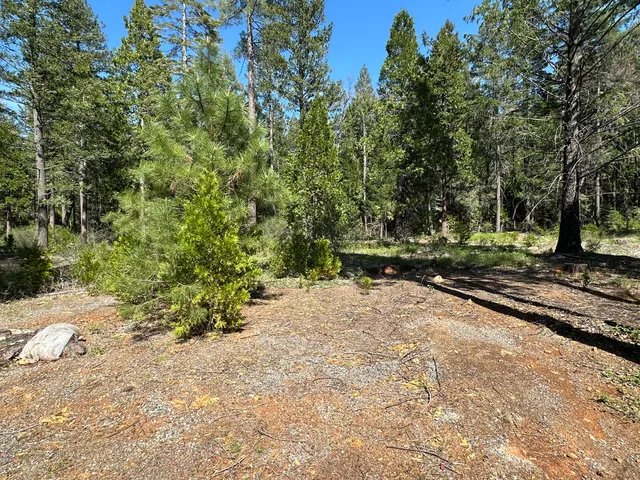$105,000 | Lot 13 Speargrass Court, Shingletown, CA 96088