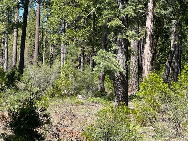 a view of outdoor space and trees all around