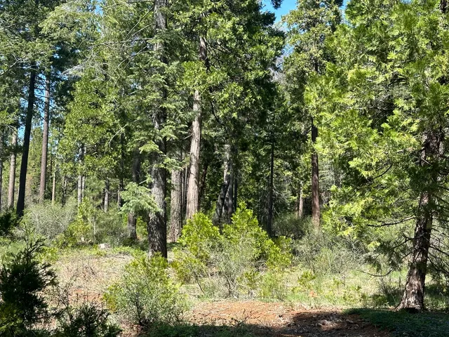 $105,000 | Lot 13 Speargrass Court, Shingletown, CA 96088