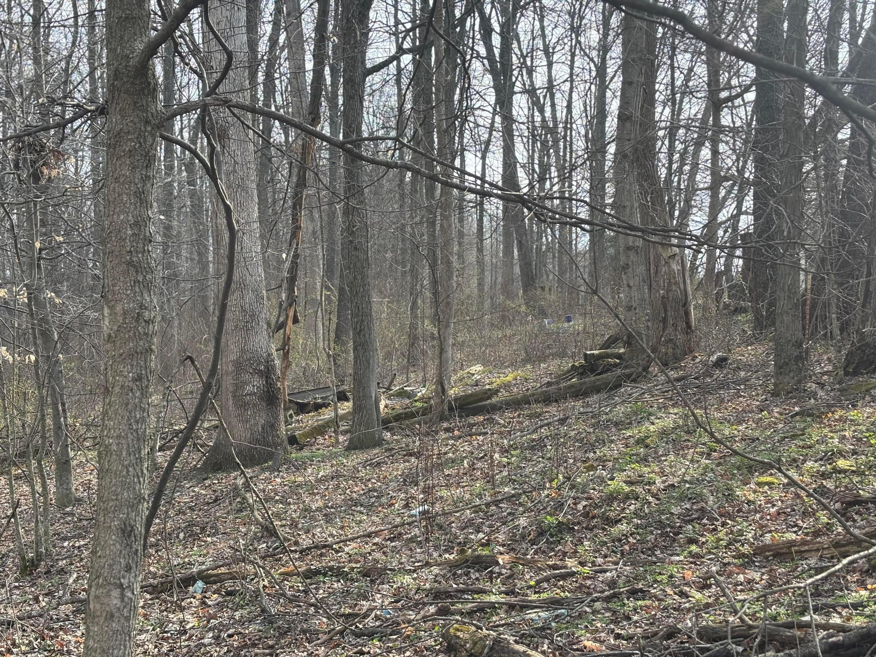 17951 Shady Lane Road Fredericktown, OH 43019 - Photo 2 of 4 IMG_2314