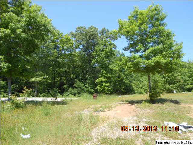3593 Mud Creek Road, Unit 14 2 AC Adger, AL 35006 - Photo 4 of 8 Gallery Image 4