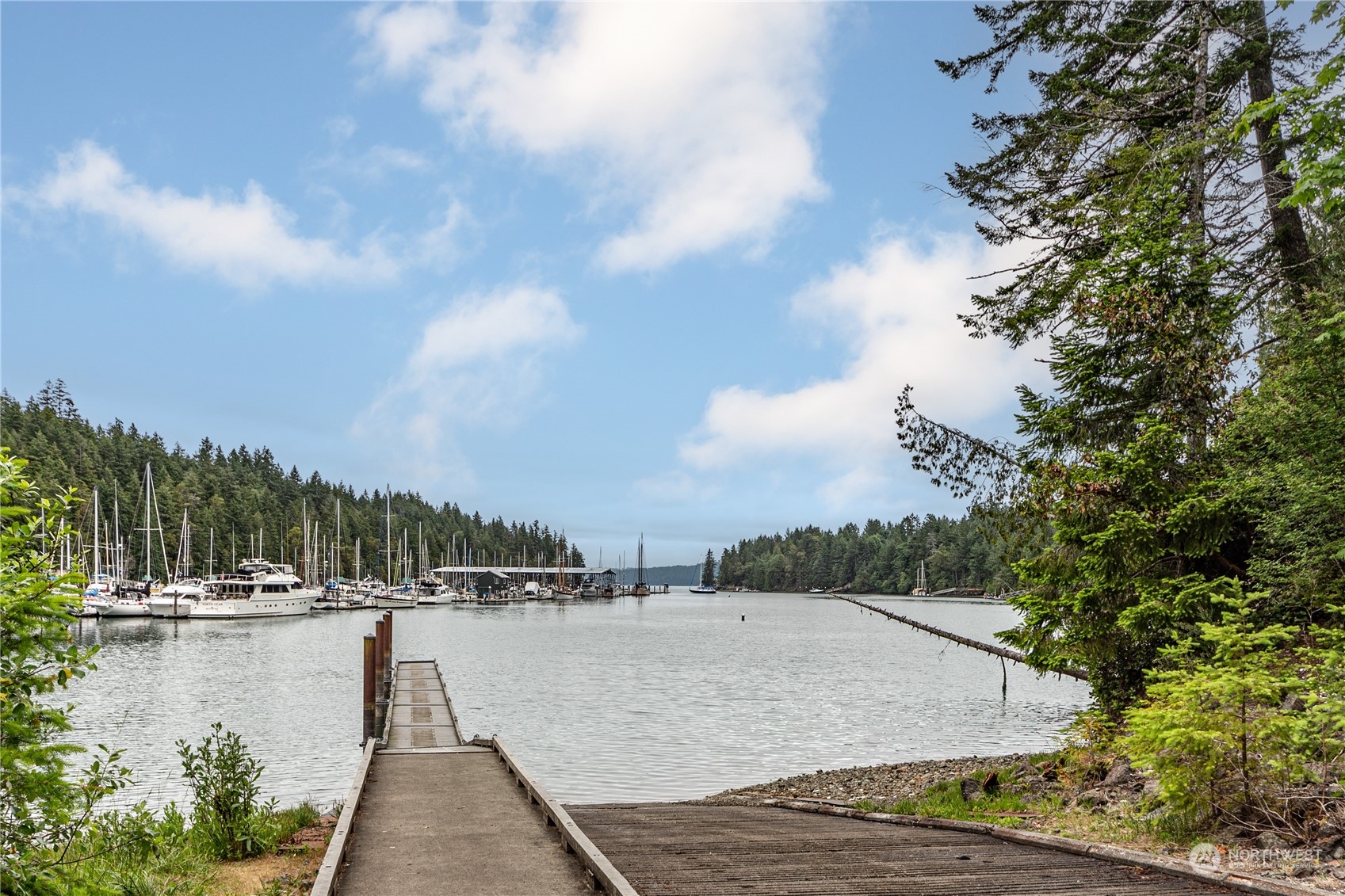 470 Rhododendron Lane Brinnon, WA 98320 - Photo 32 of 32 Gallery Image 32