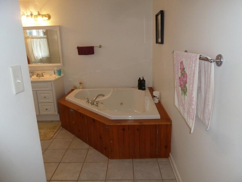 345 Scuffling Hill Road Rocky Mount, VA 24151 - Photo 27 of 64 51 Entry Master Bath