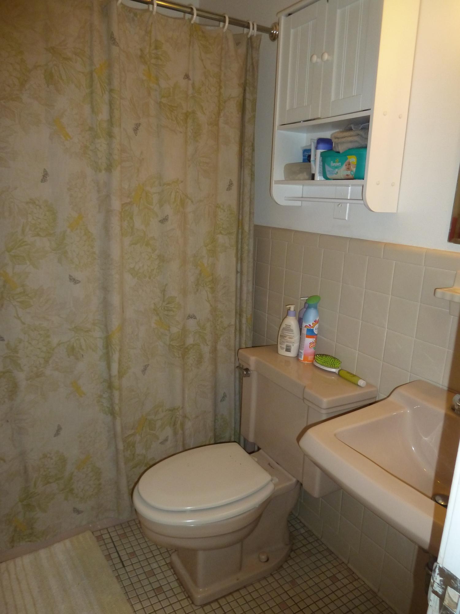 345 Scuffling Hill Road Rocky Mount, VA 24151 - Photo 46 of 64 11a Entry Bath