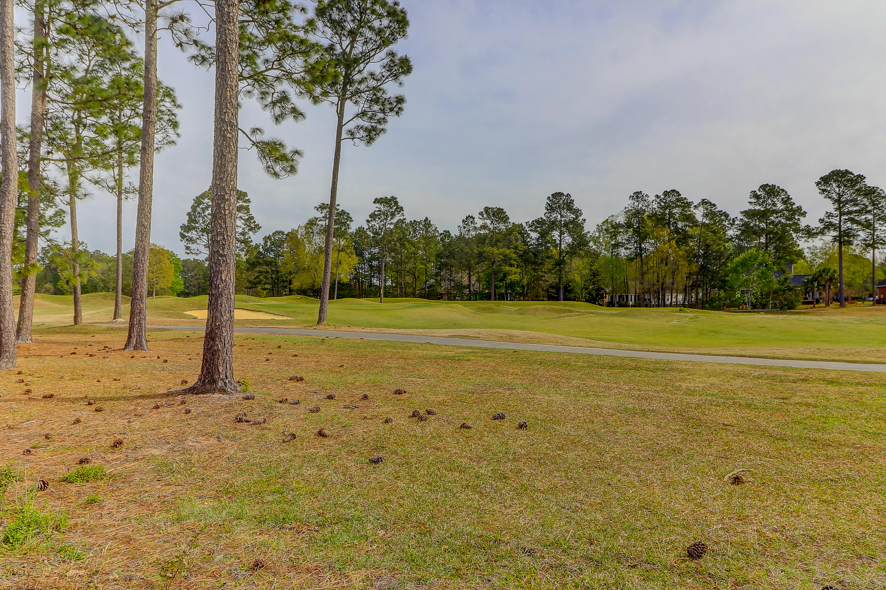 406 Kilarney Road Summerville, SC 29483 - Photo 39 of 48 406 Kilarney (38)