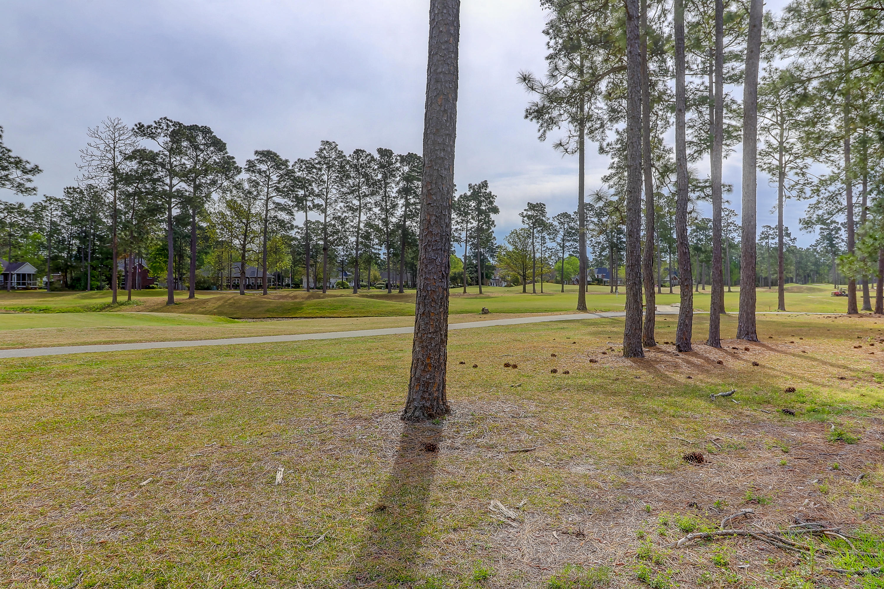 406 Kilarney Road Summerville, SC 29483 - Photo 40 of 48 406 Kilarney (39)
