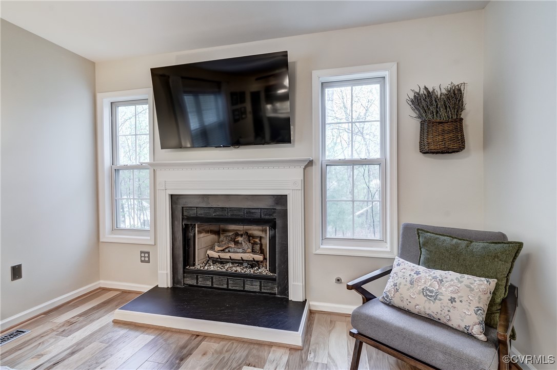 361 Rudolph Street Ruckersville, VA 22968 - Photo 8 of 47