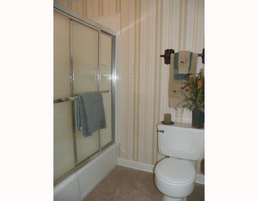 115 Ridgeview Drive Venetia, PA 15367 - Photo 11 of 18 Master Bath/Spa.