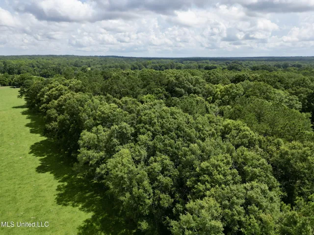 $215,000 | 55 Amacker Road, Poplarville, MS 39470