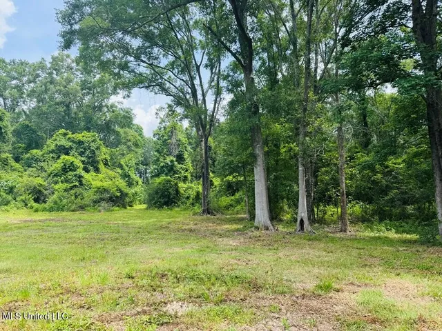 $215,000 | 55 Amacker Road, Poplarville, MS 39470