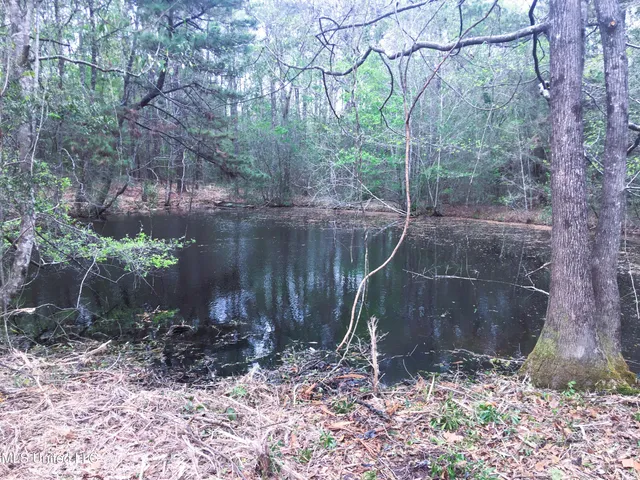 $215,000 | 55 Amacker Road, Poplarville, MS 39470