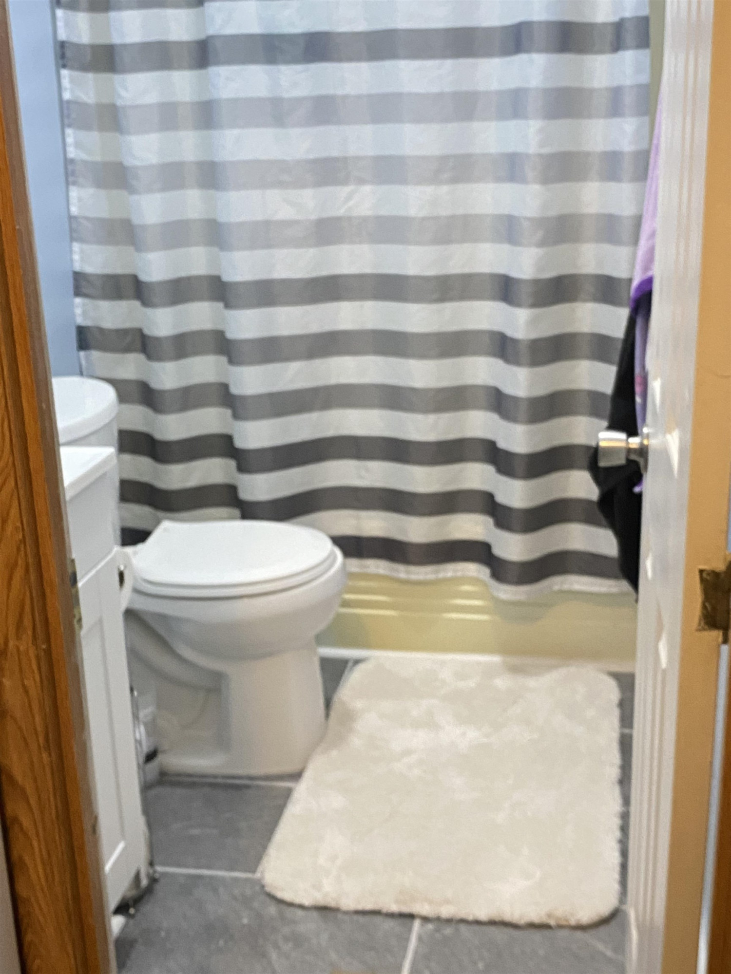1658 Jack Clement Road Stem, NC 27581 - Photo 8 of 8 a bathroom with a sink and a toilet