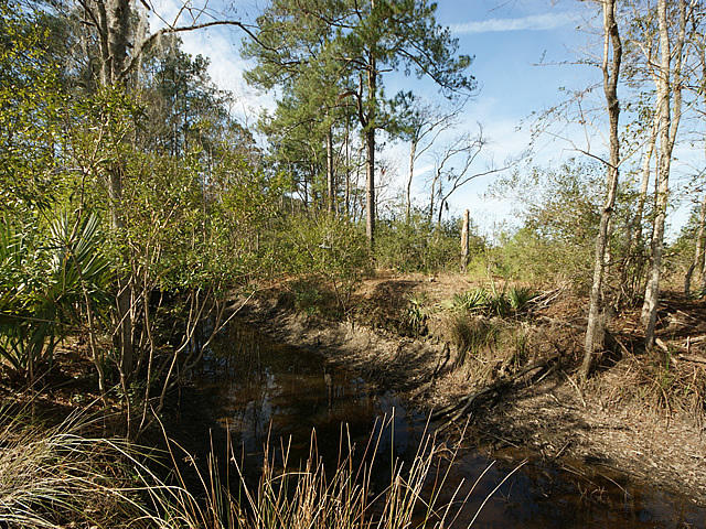 367 Back Field Road Walterboro, SC 29488 - Photo 28 of 34 27