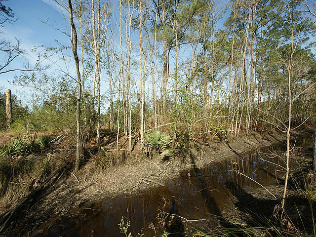 367 Back Field Road Walterboro, SC 29488 - Photo 29 of 34 28