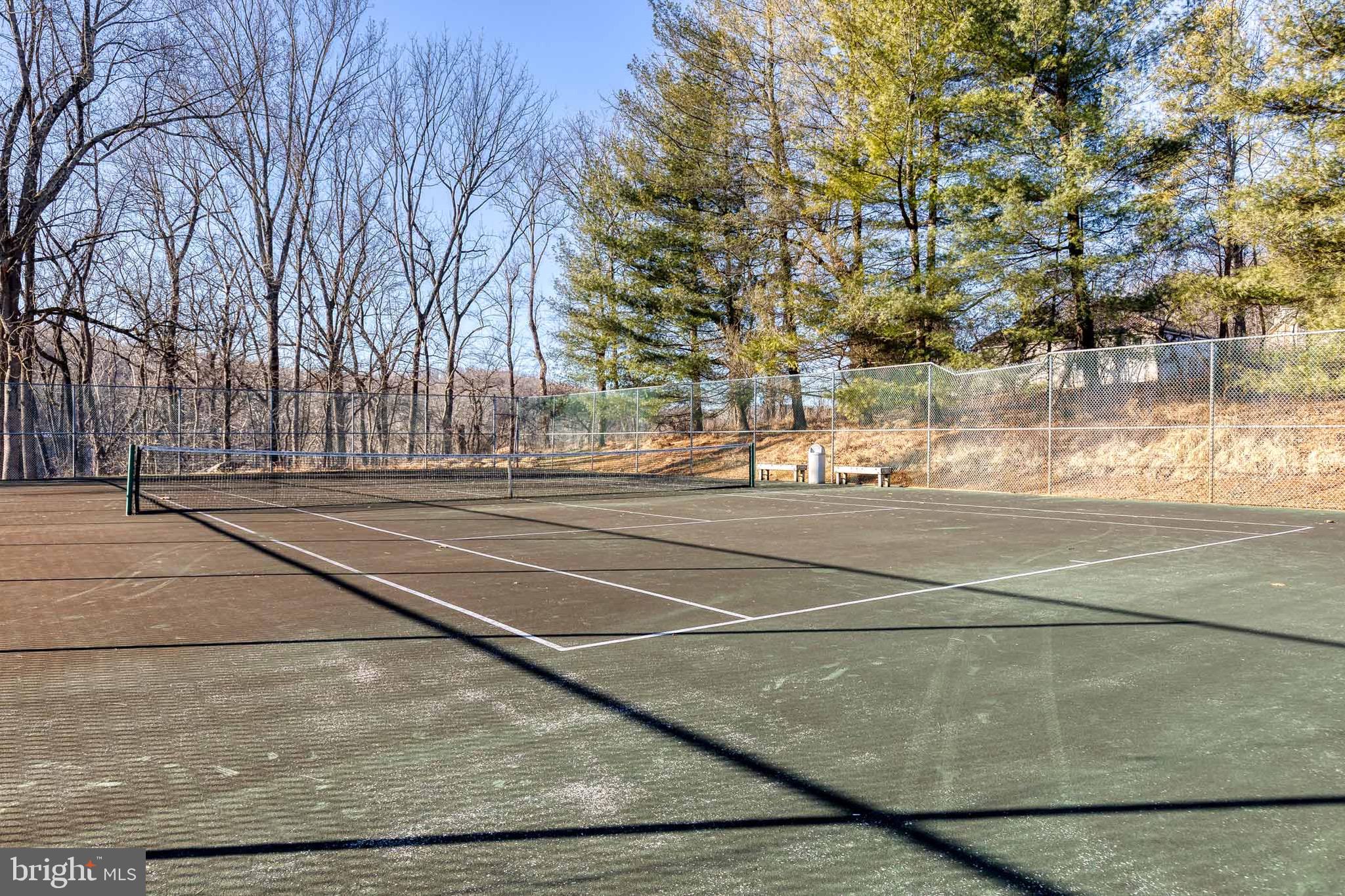 2331 Old Court Road, Unit 307 Baltimore, MD 21208 - Photo 30 of 35 a view of a yard with large trees