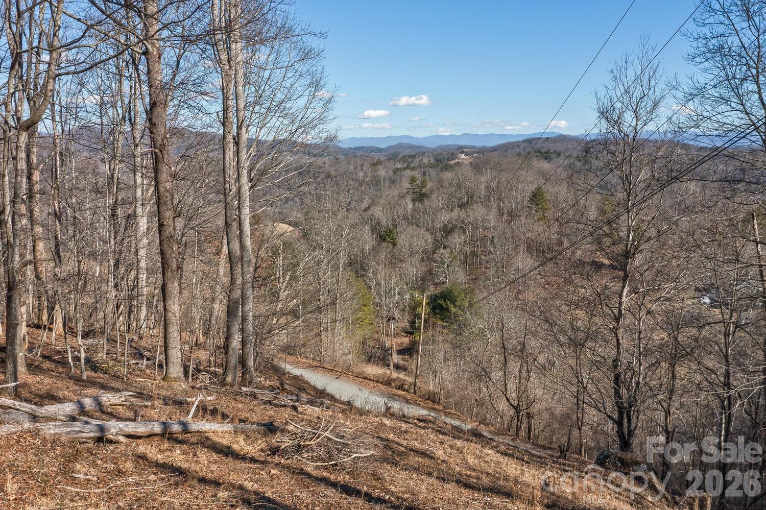 99999 Anderson Branch Road Marshall, NC 28753 - Photo 1 of 20 a view of a yard