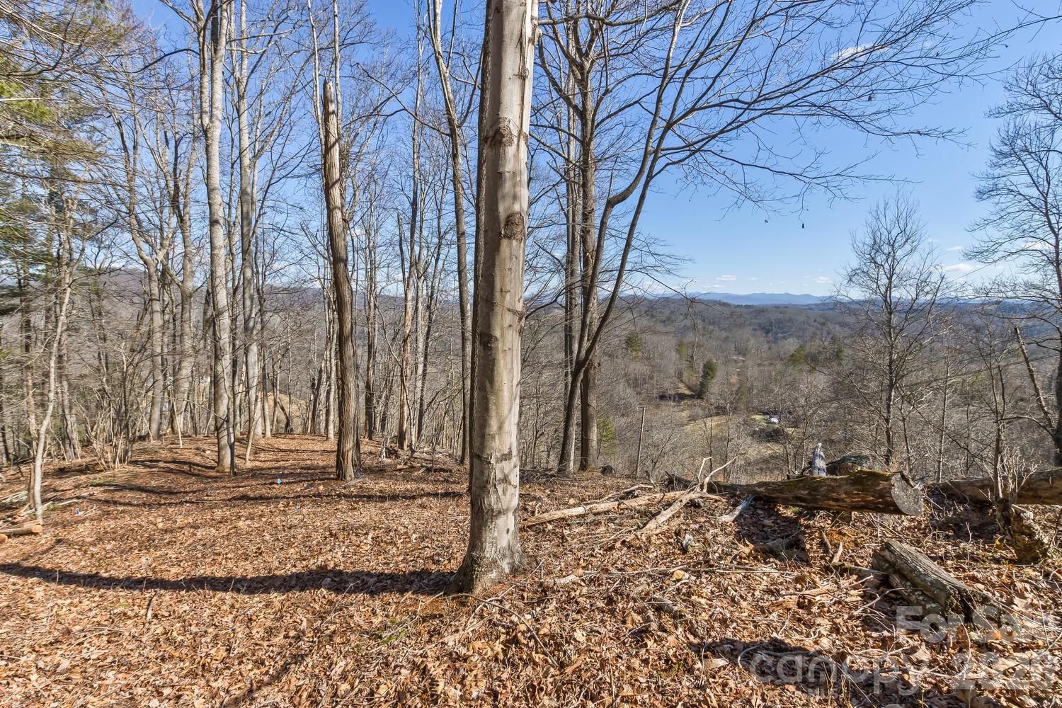 99999 Anderson Branch Road Marshall, NC 28753 - Photo 11 of 20 a view of a backyard