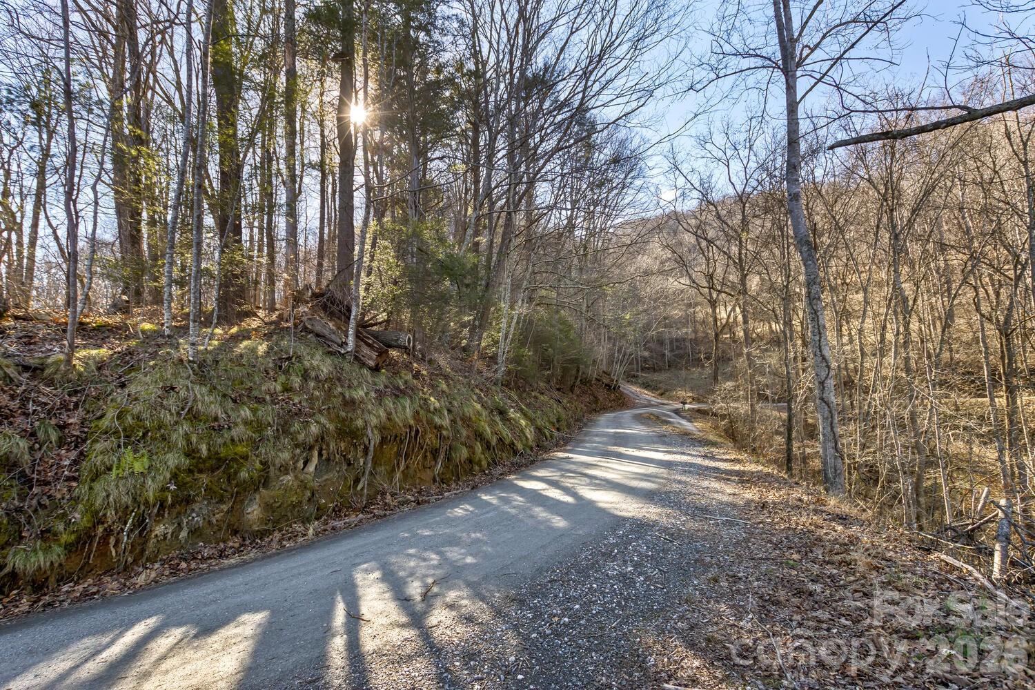 99999 Anderson Branch Road Marshall, NC 28753 - Photo 12 of 20 a view of a yard with trees