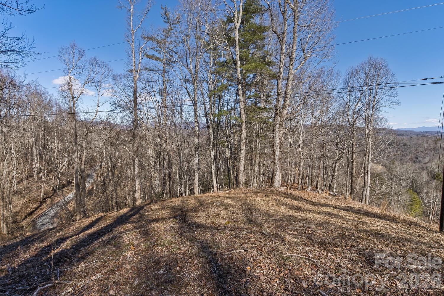 99999 Anderson Branch Road Marshall, NC 28753 - Photo 14 of 20 a view of large trees with lots of trees