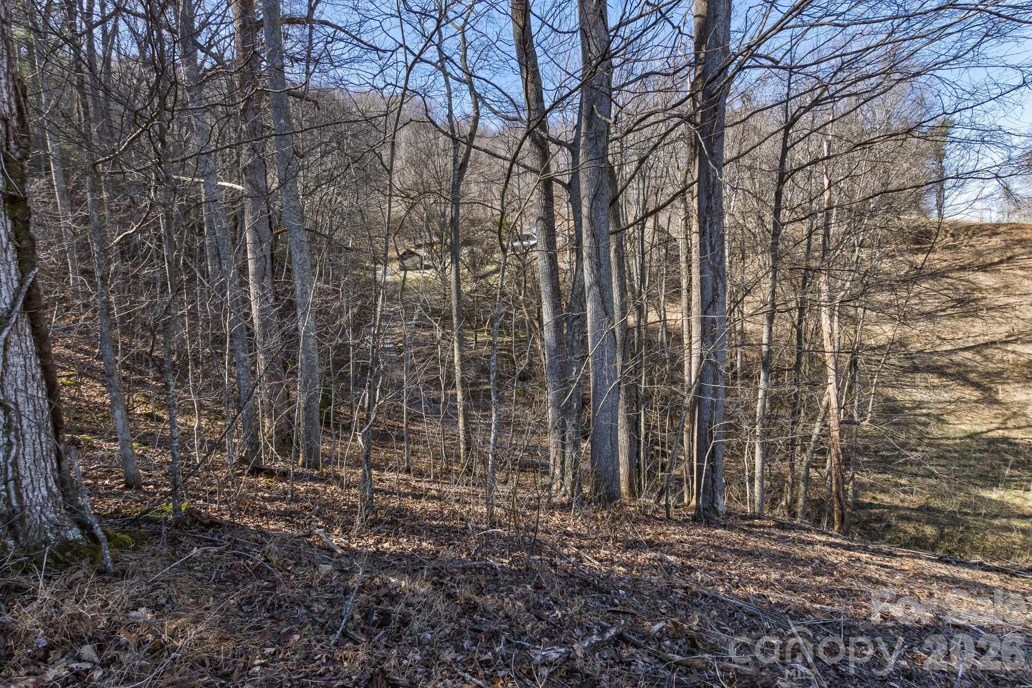 99999 Anderson Branch Road Marshall, NC 28753 - Photo 15 of 20 a view of a backyard with trees