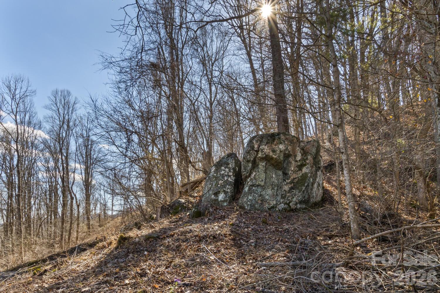 99999 Anderson Branch Road Marshall, NC 28753 - Photo 17 of 20 a view of a yard