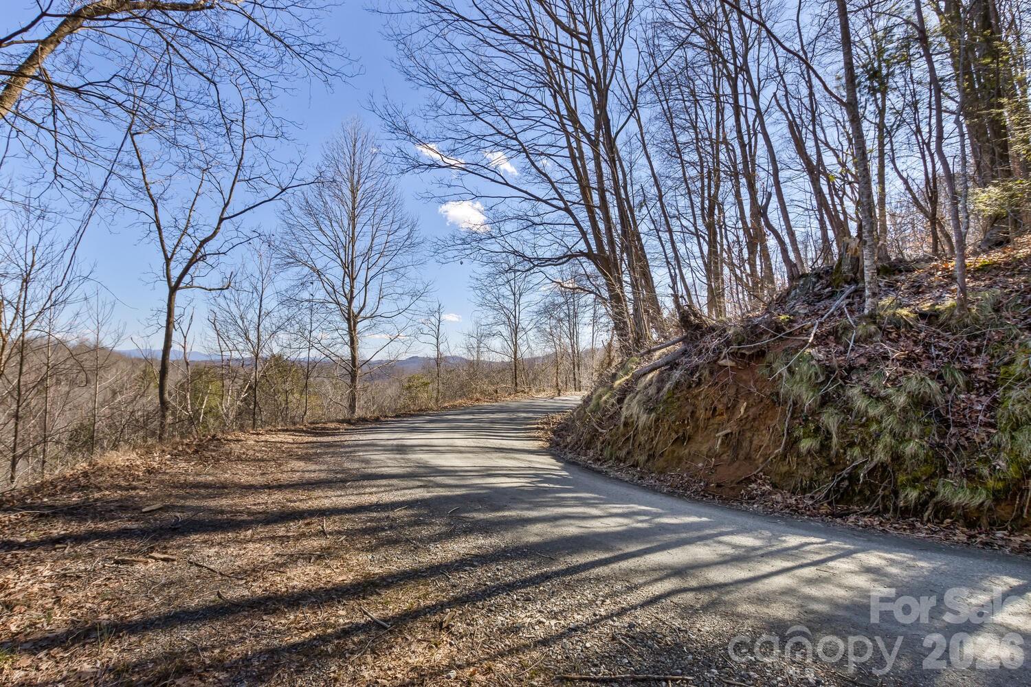 99999 Anderson Branch Road Marshall, NC 28753 - Photo 19 of 20