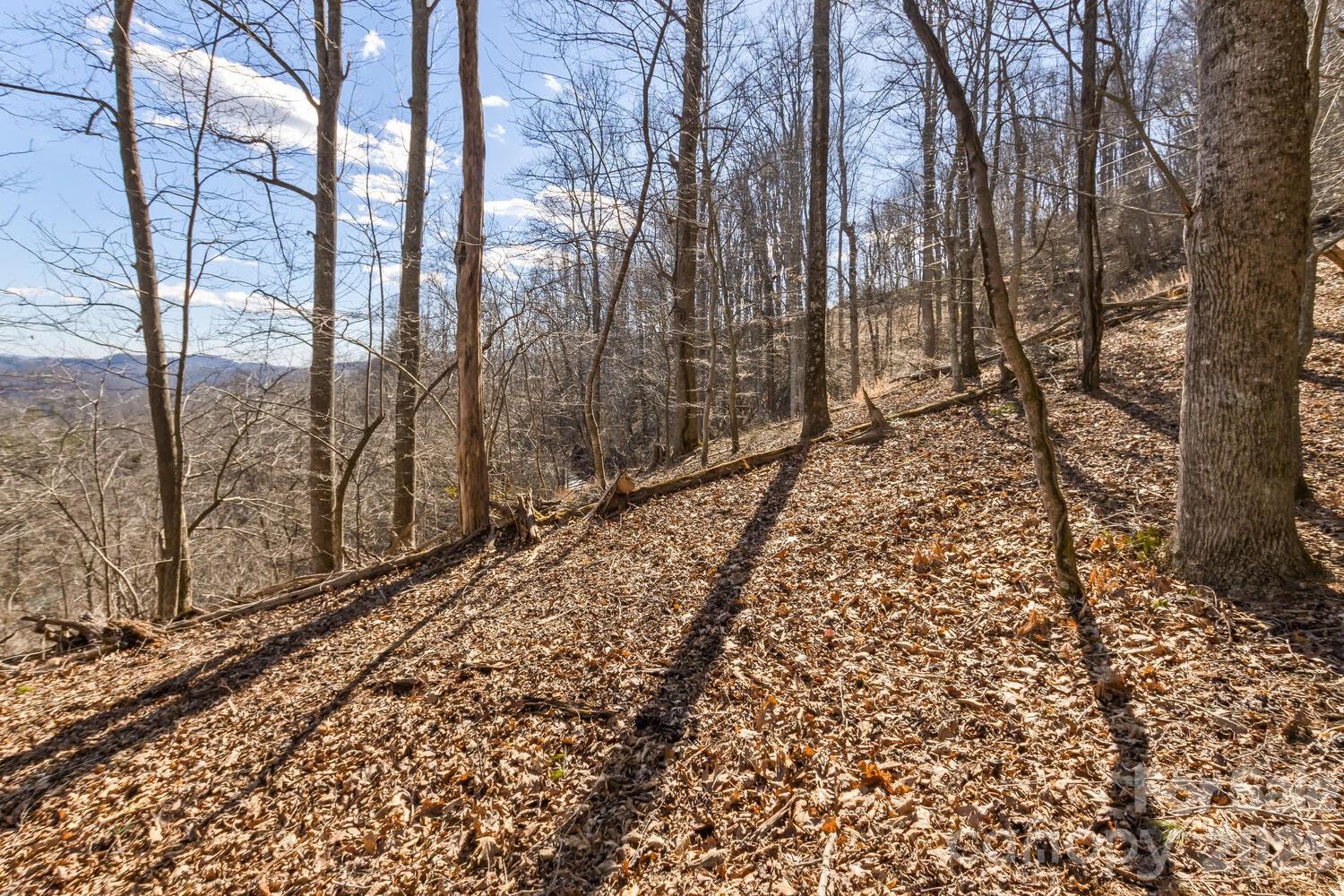 99999 Anderson Branch Road Marshall, NC 28753 - Photo 20 of 20 a view of a backyard of the house