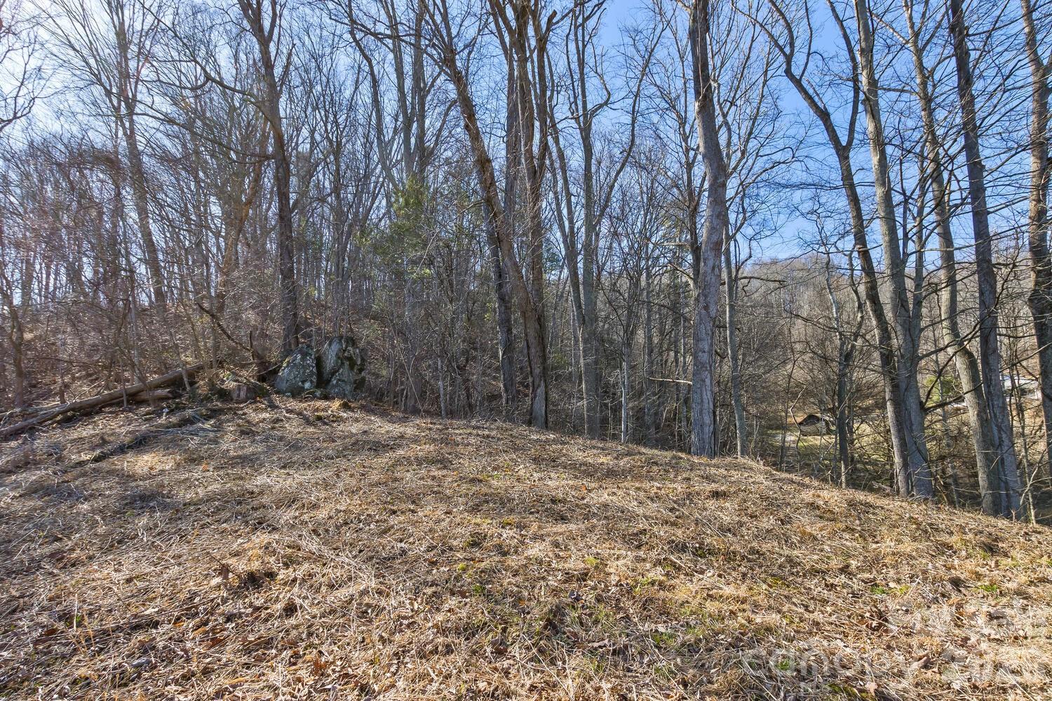 99999 Anderson Branch Road Marshall, NC 28753 - Photo 3 of 20 a backyard of a house with large trees