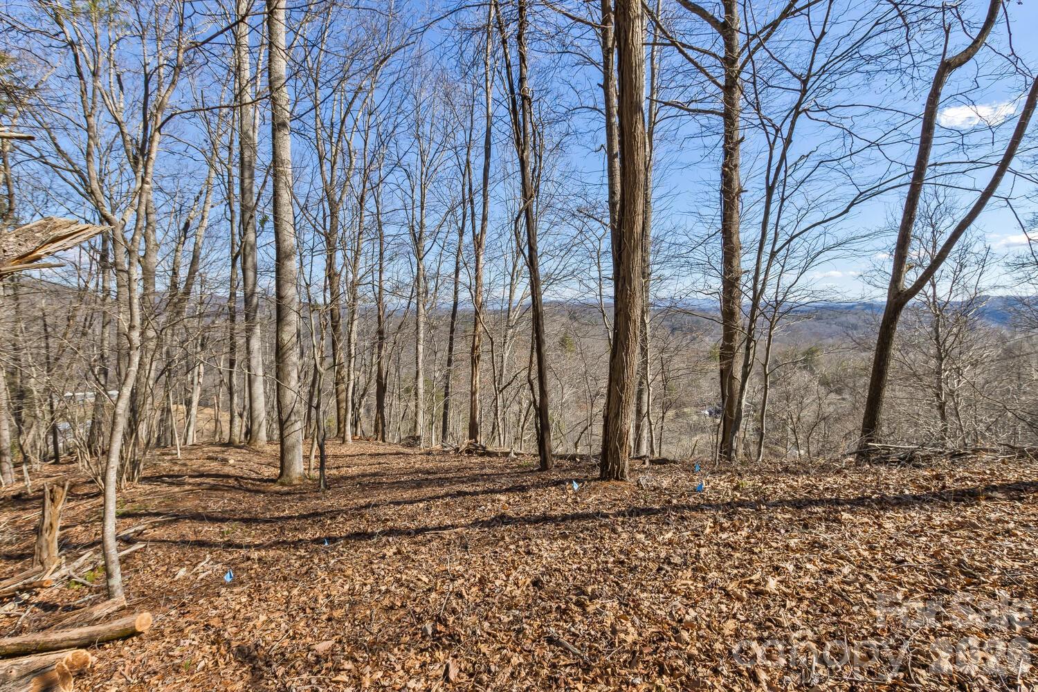 99999 Anderson Branch Road Marshall, NC 28753 - Photo 4 of 20 a view of a backyard of the house