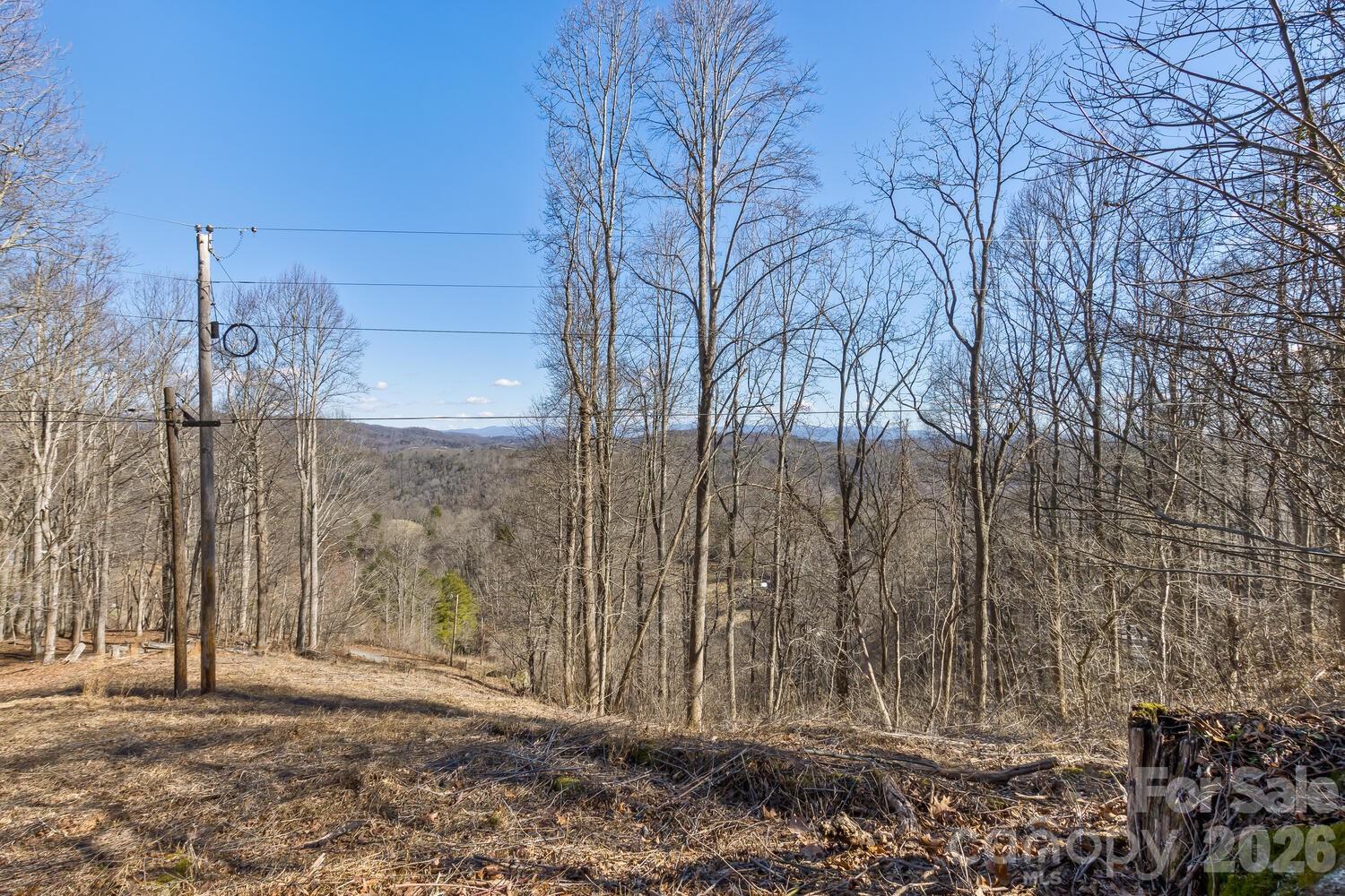 99999 Anderson Branch Road Marshall, NC 28753 - Photo 10 of 20 a backyard of a house with lots of green space