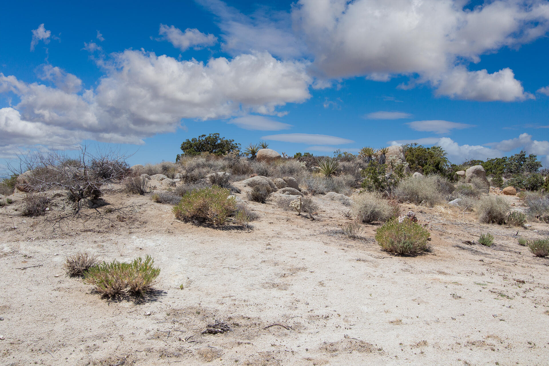 56949 Spencer Road Yucca Valley, CA 92284 - Photo 24 of 31 terrain 1