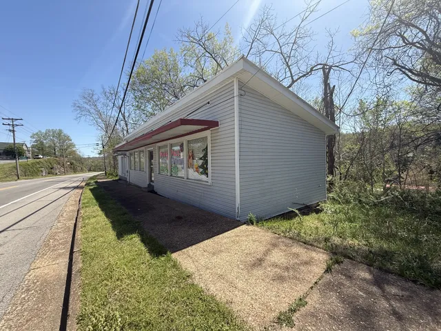 a view of a lush green forest with large trees