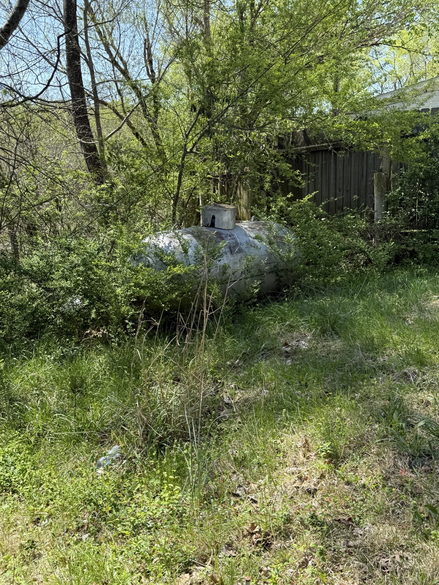 4870 East Main Street Erin, TN 37061 - Photo 5 of 12 a view of a lush green forest with large trees