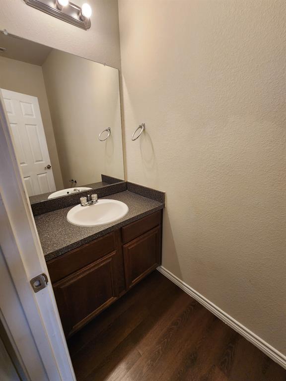 5516 Del Rey Drive Denton, TX 76208 - Photo 15 of 16 a bathroom with a sink and a mirror