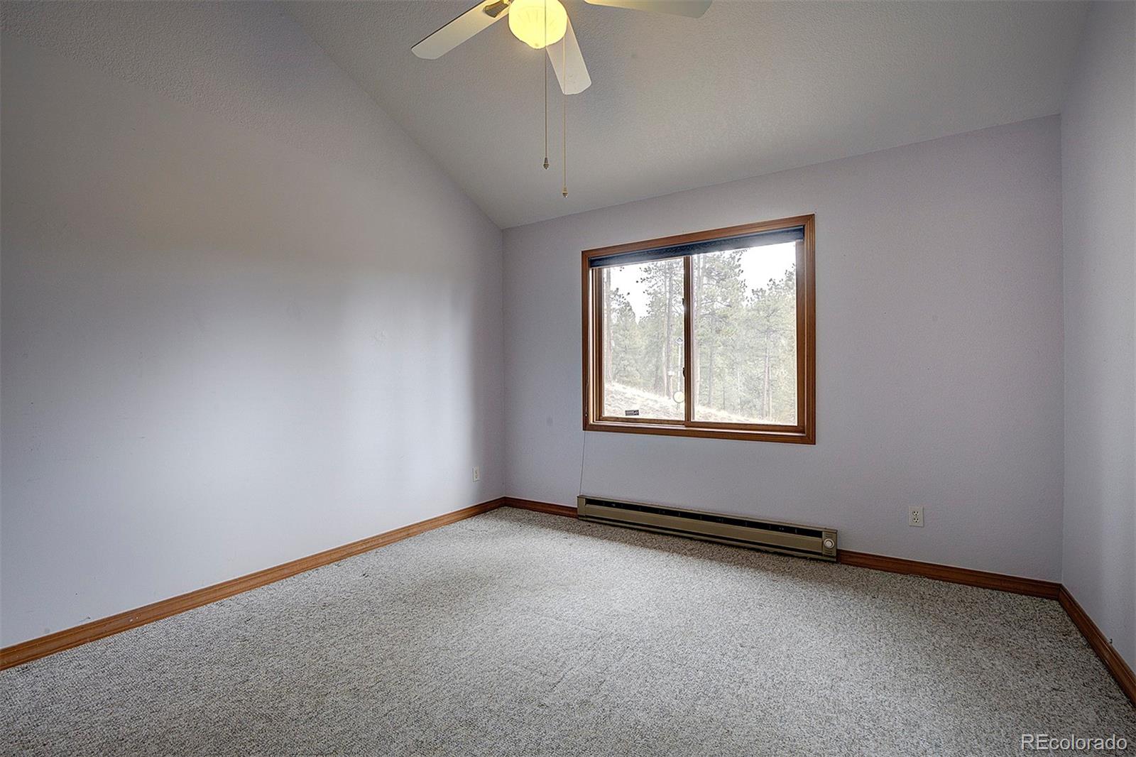 1102 Hitchrack Road Bailey, CO 80421 - Photo 15 of 39